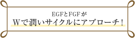 EGFとFGFの潤いアプローチ