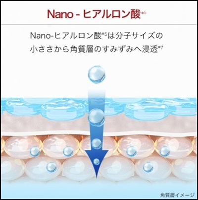 Nano-ヒアルロン酸　浸透イメージ